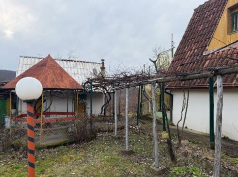 Screenshot (113).png