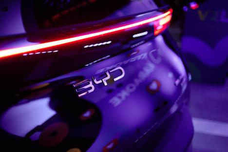 BYD DOLPHIN Surf (6).jpg