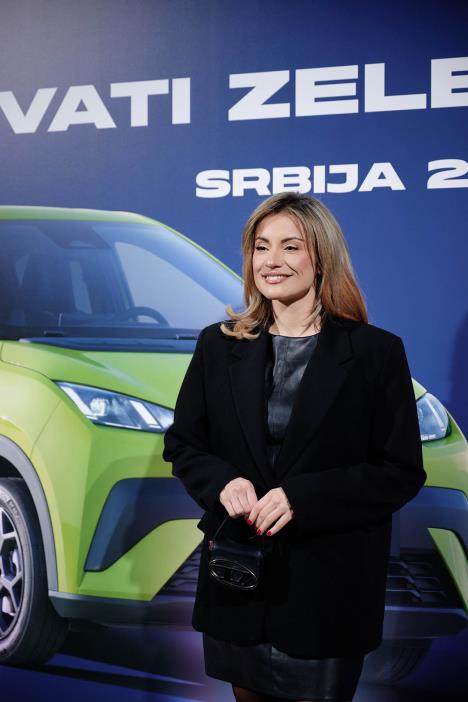 BYD DOLPHIN Surf (9).jpg