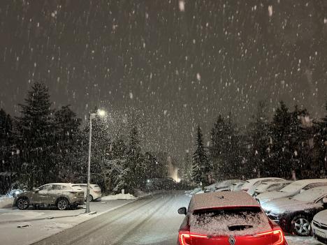 1771608259IMG_7628 (1).jpeg