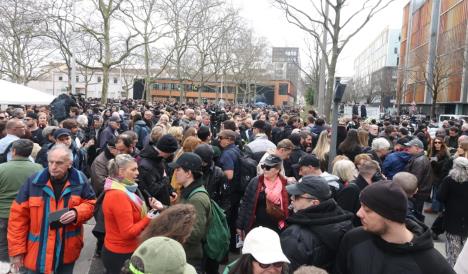 Francuska Lion protesti.jpg