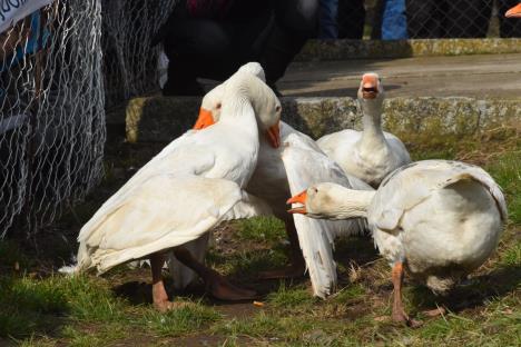 WhatsApp Image 2026-02-22 at 16.06.15.jpeg