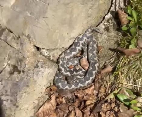 Screenshot 2026-02-22 182916.jpg