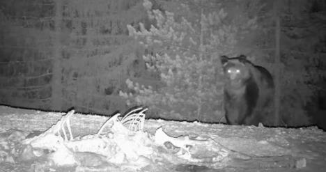 Screenshot 2026-02-23 134520.jpg