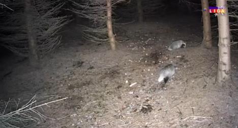 Screenshot 2026-02-24 084804.png