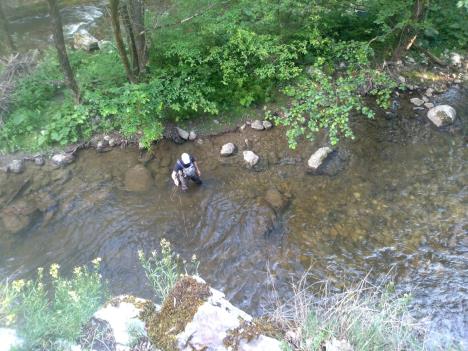 Ribolovac - klisura Đetinja.jpg