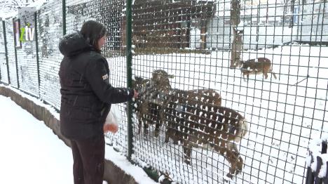 Screenshot 2026-02-24 143803.jpg