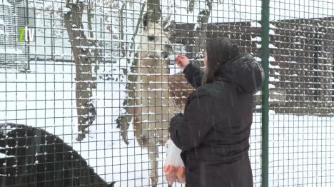 Screenshot 2026-02-24 143813.png