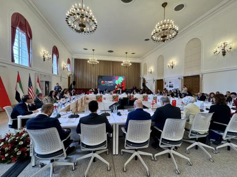 Jelena Žarić Kovačević na pro-porodičnom samitu u Budimpešti