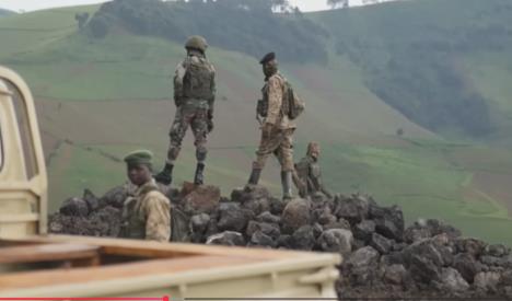 Screenshot 2026-02-24 172310.jpg