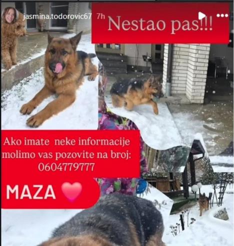 Oglasila se majka Milice Todorović