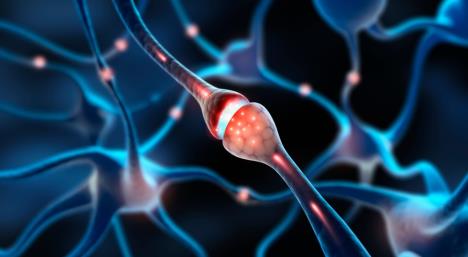 Ilustracija nervne ćelije sa sinapsom i prenosom nervnog signala