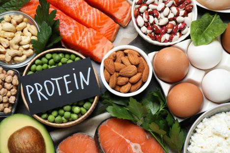 različite namirnice biljnog i životinjskog porekla koje sadrže zdrave protene/natpis protein