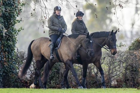 Princ Endru jaše na svom kraljevskom imanju