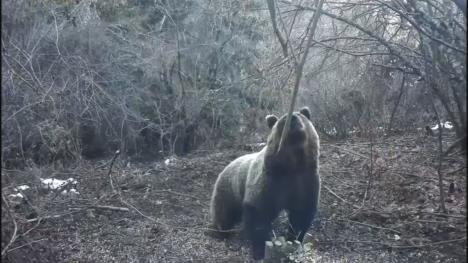 1772127450Medvedev – Foto printskrin (3).jpg