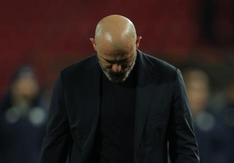 Dejan Stanković, Crvena zvezda