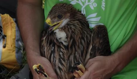 Screenshot 2026-02-27 200521.png