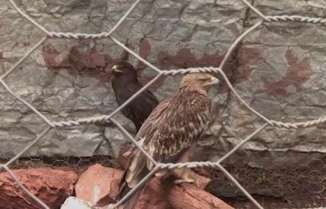 Screenshot 2026-02-27 200544.png