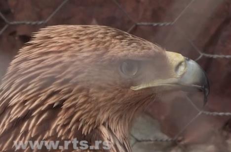 Screenshot 2026-02-27 200636.png