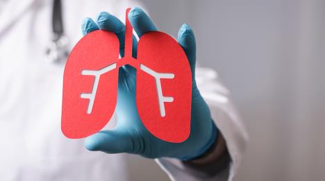 daktor drži crveni model pluća od kartona