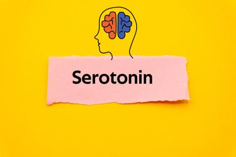 crtež mozga, leve i desne hemisfere i natpis Serotonin