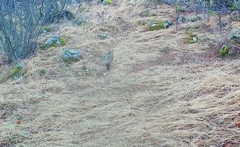 Screenshot 2026-03-02 153421.jpg