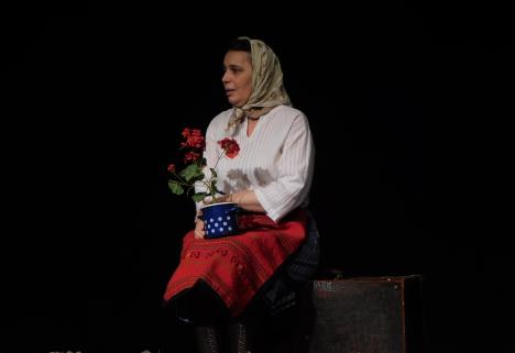 LOZNICA - Monodrama.JPG