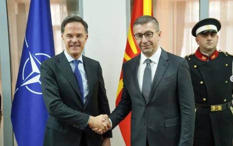 Screenshot 2026-03-03 194407.jpg