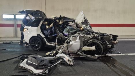 1772488052Cacak-udes-fotorina 2.jpg