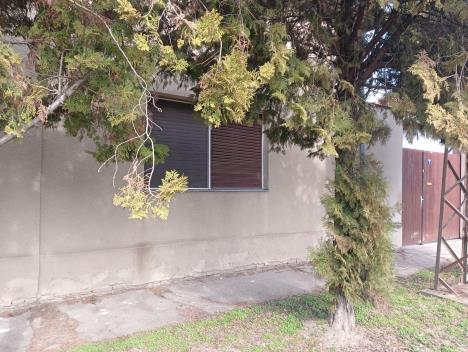 WhatsApp Image 2026-03-04 at 13.18.00 (2).jpeg