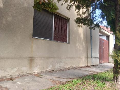 WhatsApp Image 2026-03-04 at 13.18.00 (1).jpeg