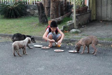 napusteni-kucici-filipini.jpg