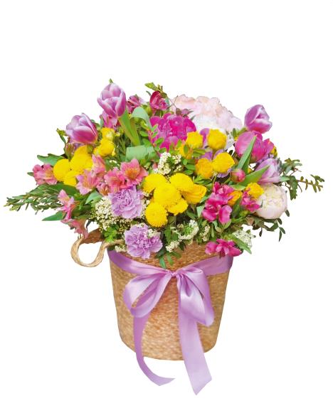 5 - Večno radosna optimistkinja copy.jpg