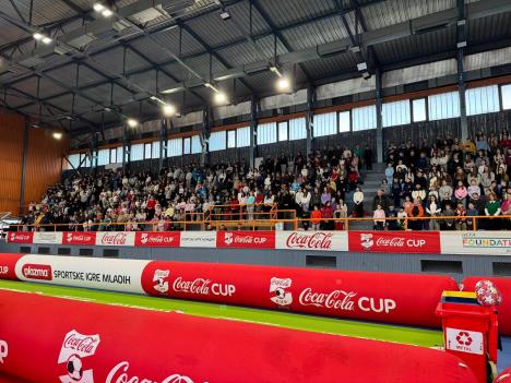 Veliko Gradište_5.jpeg