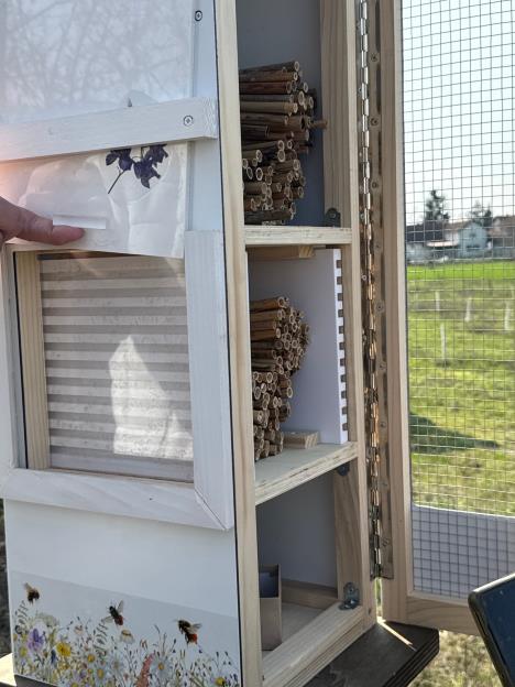 Hotel za pčele u Futogu