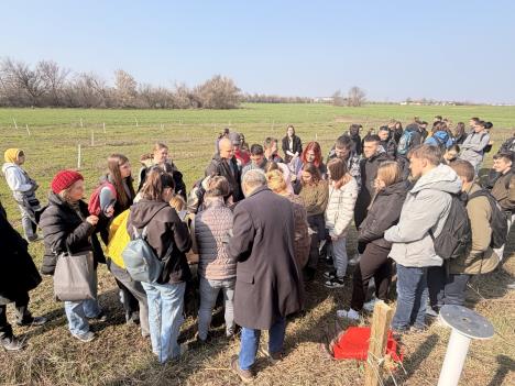 Hotel za pčele u Futogu