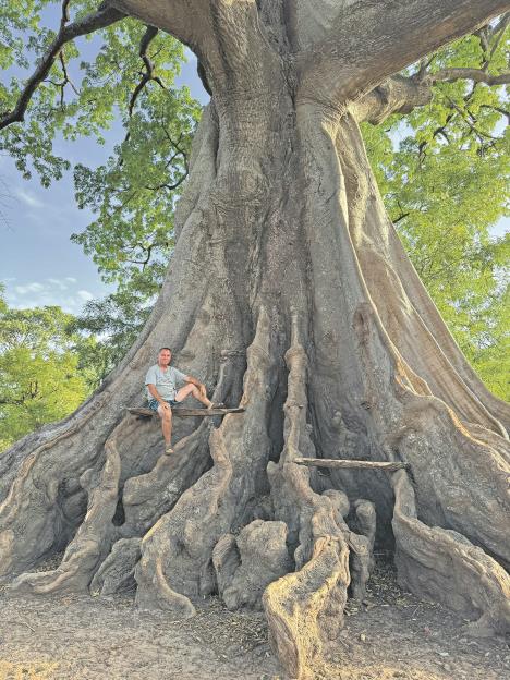 Gambija Viktor Lazić
