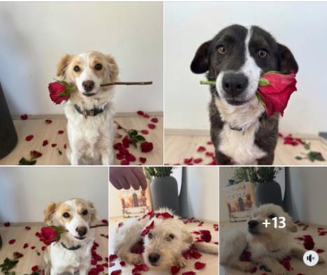 Screenshot 2026-03-08 074707.png