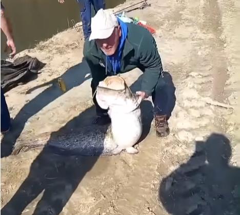 Screenshot 2026-03-09 092434.jpg