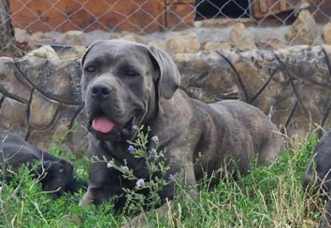 Screenshot 2026-03-09 115106.jpg