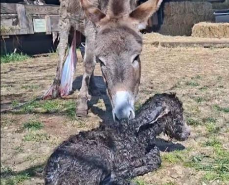 Screenshot 2026-03-10 093455.jpg