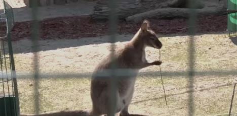 Screenshot 2026-03-10 145018.jpg