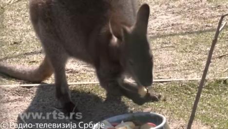 Screenshot 2026-03-10 145053.png