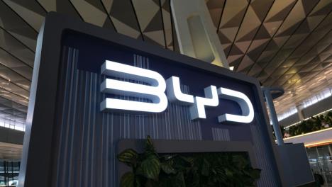BYD (2).jpg