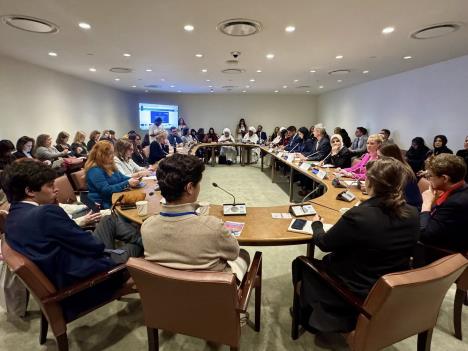 Jelena Žarić Kovačević na  70. zasedanja Komisije Ujedinjenih nacija o statusu žena