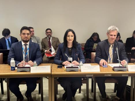 Jelena Žarić Kovačević na  70. zasedanja Komisije Ujedinjenih nacija o statusu žena