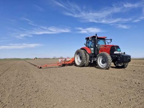 Sunoko setva 2026 2 - Foto Radomir Putniković.jpg