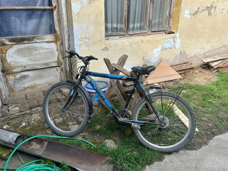 odzaci i pokusaj ubistva (1).jpeg