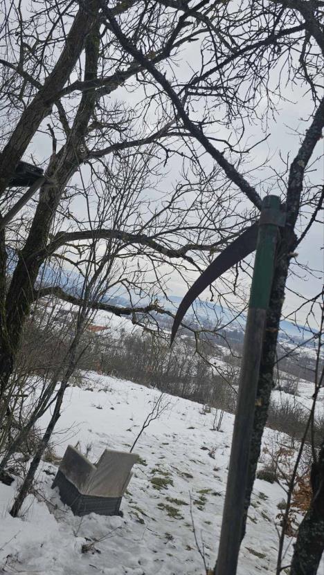 Mesto gde je pronađeno telo Srđana Nedeljkovića