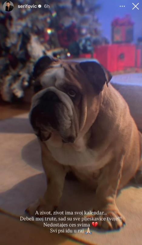 Mariji Šerifović uginuo pas